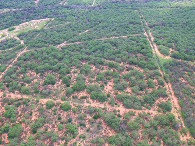 Land for sale in Bigfoot, Texas