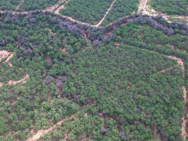 Land for sale in Bigfoot, Texas
