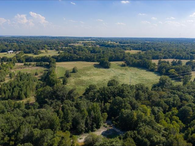 Land for sale in Henderson, Texas