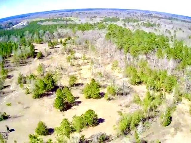 Land for sale in San Augustine, Texas