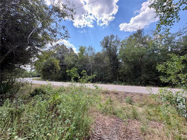 Land for sale in Sweeny, Brazoria County