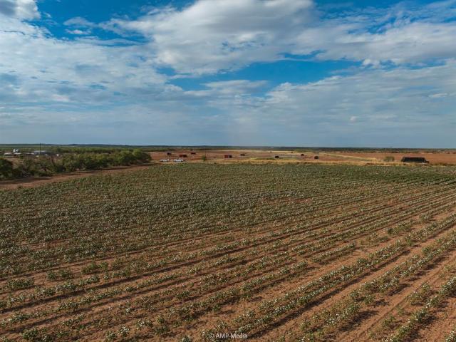 Land for sale in Jones, Texas