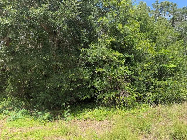 Land for sale in Blessing, Texas