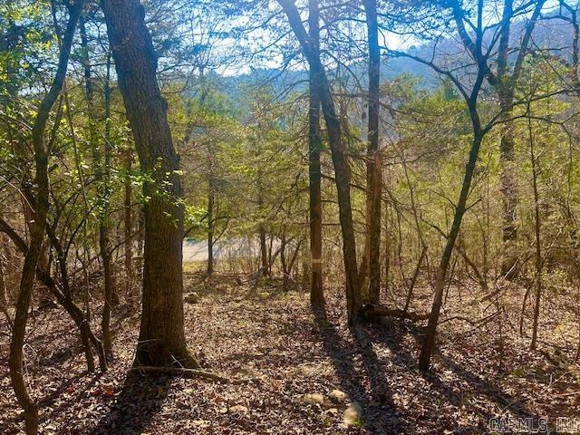 Land for sale in Ark