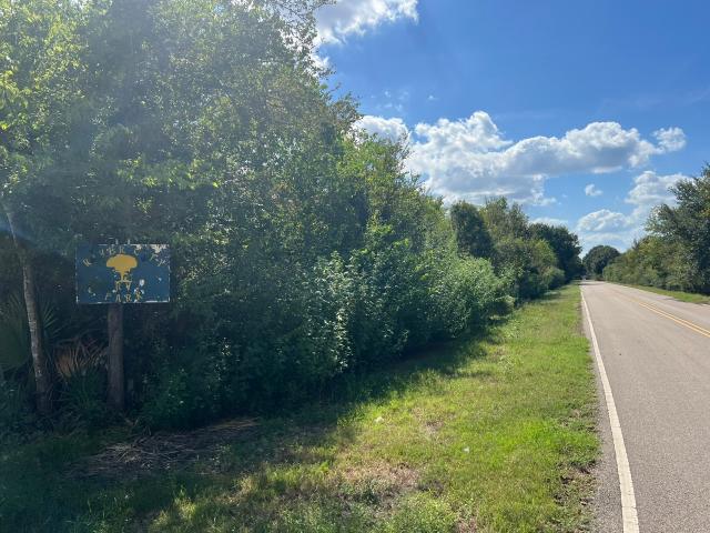 Land for sale in Brazoria, Brazoria County