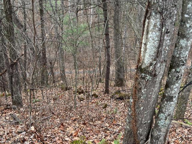 Land for sale in Virginia