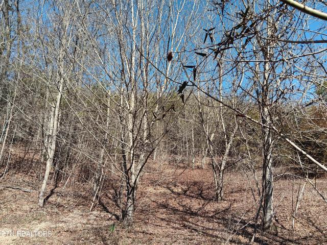 Land for sale in Tennessee