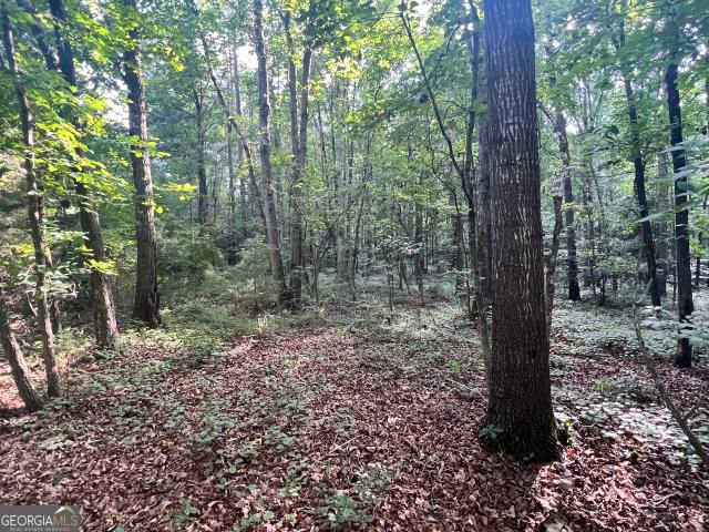 Land for sale in Elbert, Georgia