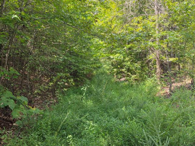 Land for sale in Virginia