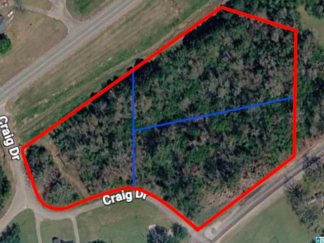 Land for sale in Anniston, Alabama