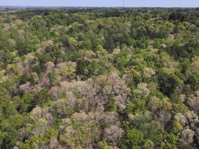 Land for sale in Toccoa, Georgia