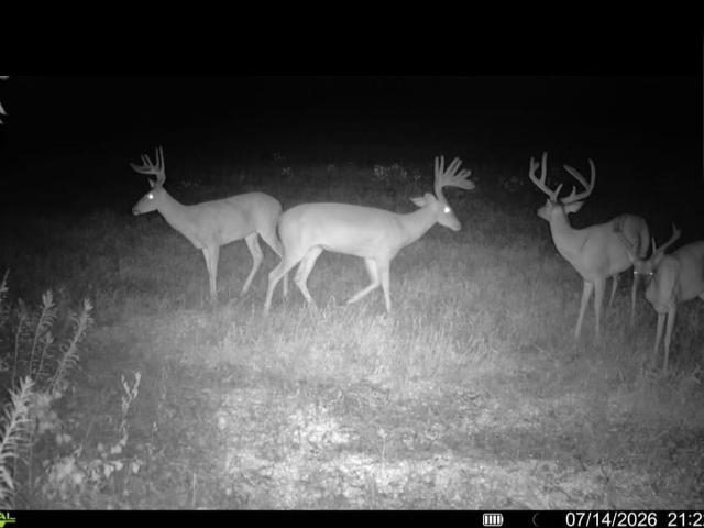 Land for sale in Smithfield, Johnston County