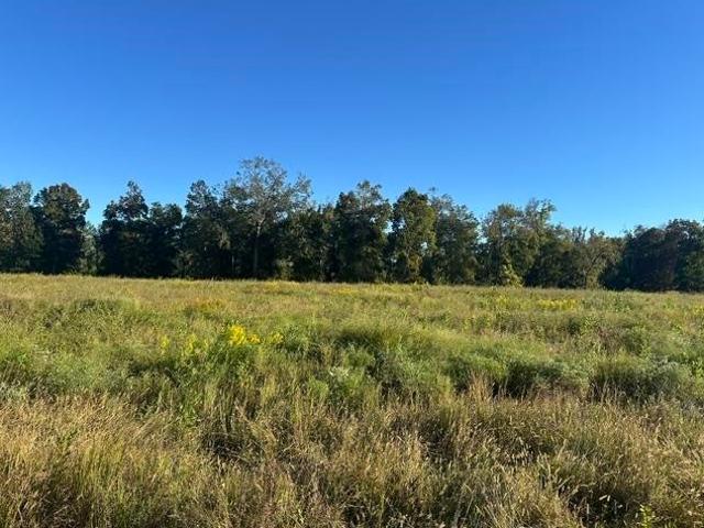 Land for sale in Savannah, West Tennessee