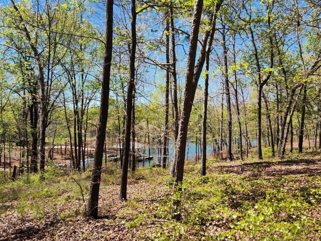 Land for sale in Hartwell, Georgia
