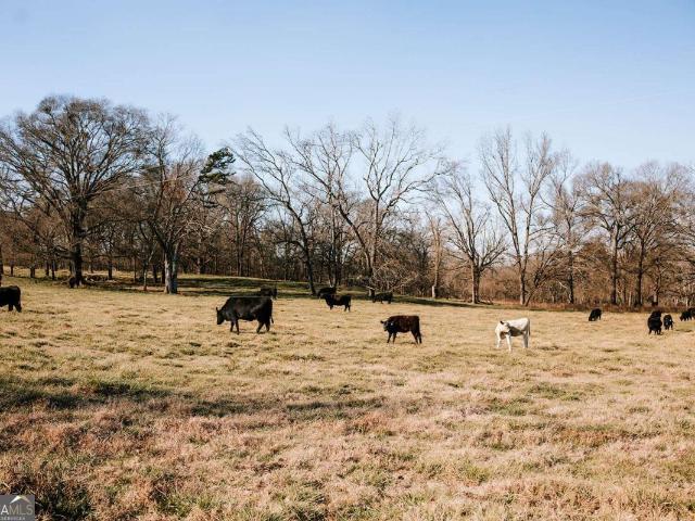 Land for sale in Carlton, Georgia