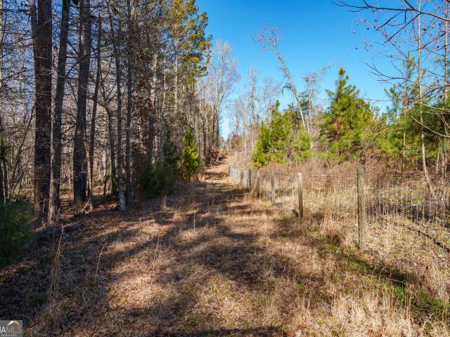 Land for sale in White Plains, Georgia