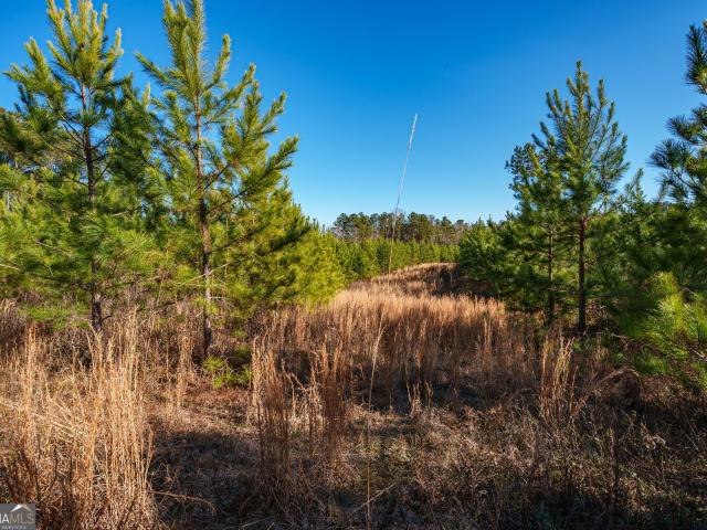 Land for sale in White Plains, Georgia