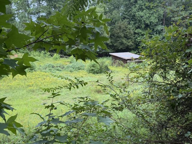 Land for sale in Tennessee