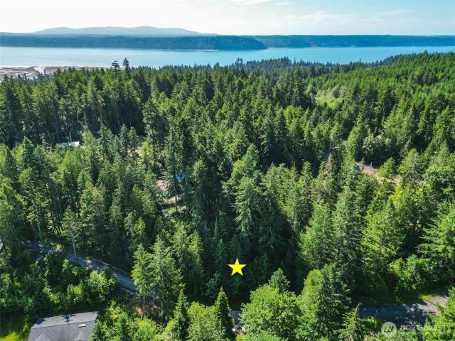 Land for sale in Brinnon
