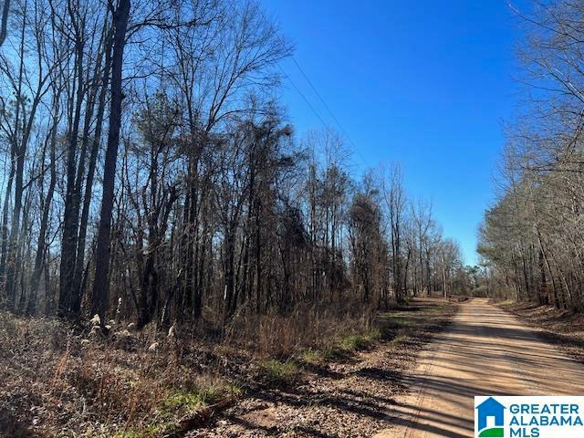 Land for sale in Ashland, Alabama