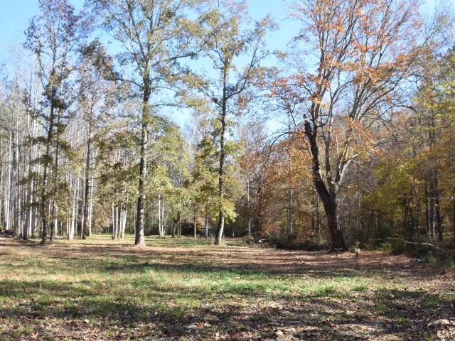 Land for sale in Alpine, Alabama