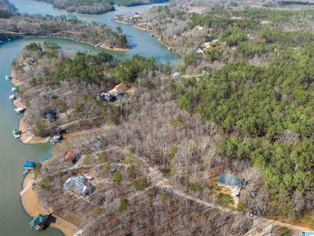 Land for sale in Wedowee, Randolph County