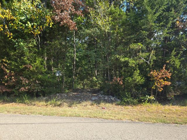 Land for sale in Tennessee