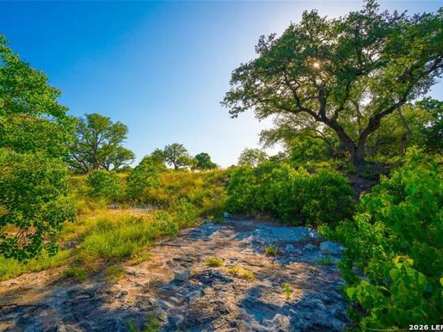 Farm for sale in Blanco, Texas