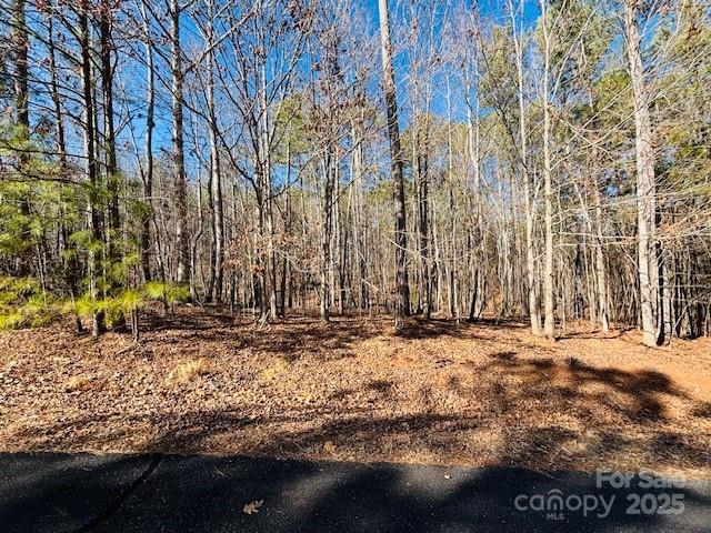 Land for sale in Rutherford, North Carolina