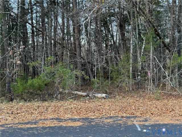 Land for sale in Virginia
