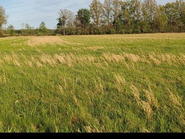 Land for sale in Mount Orab, Ohio