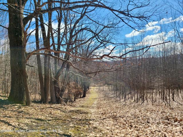 Land for sale in Andes, New York