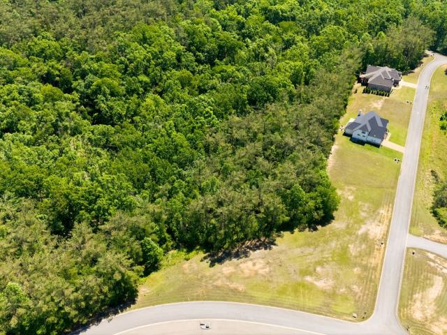 Land for sale in Tennessee