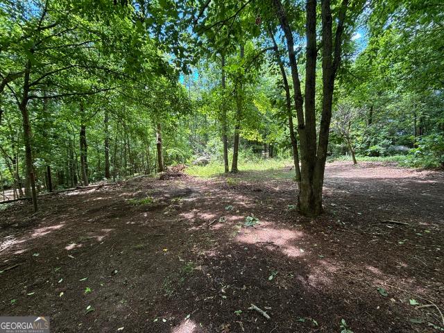 Land for sale in Cleveland, Georgia