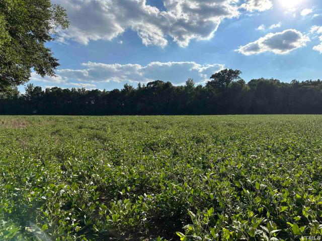 Land for sale in Smithfield, North Carolina