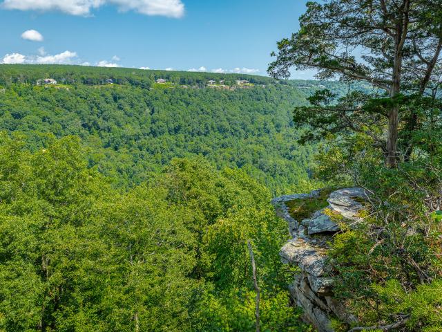 Land for sale in Tennessee