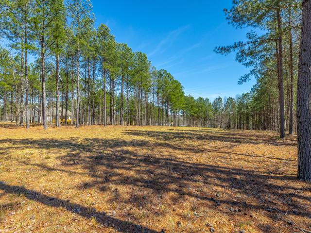 Land for sale in Tennessee