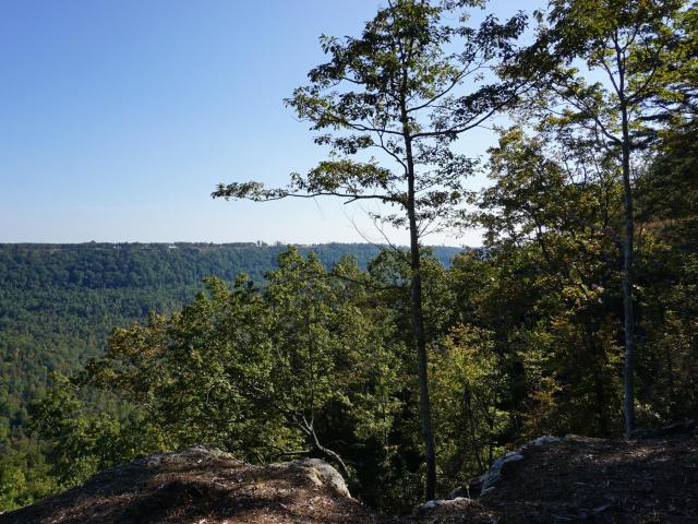 Land for sale in Tennessee