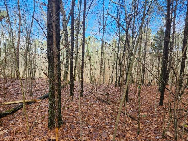 Land for sale in Tennessee