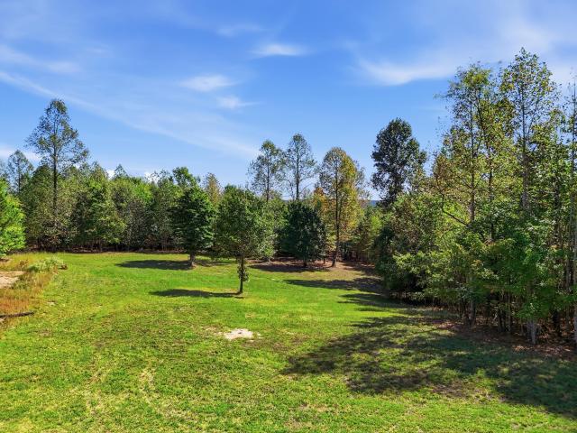 Land for sale in Jasper, East Tennessee