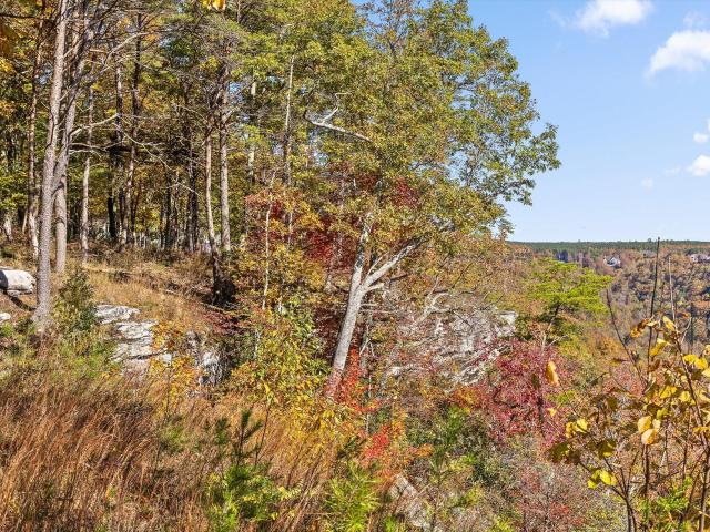 Land for sale in Tennessee