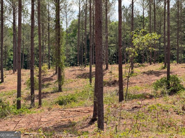 Land for sale in Elbert, Georgia