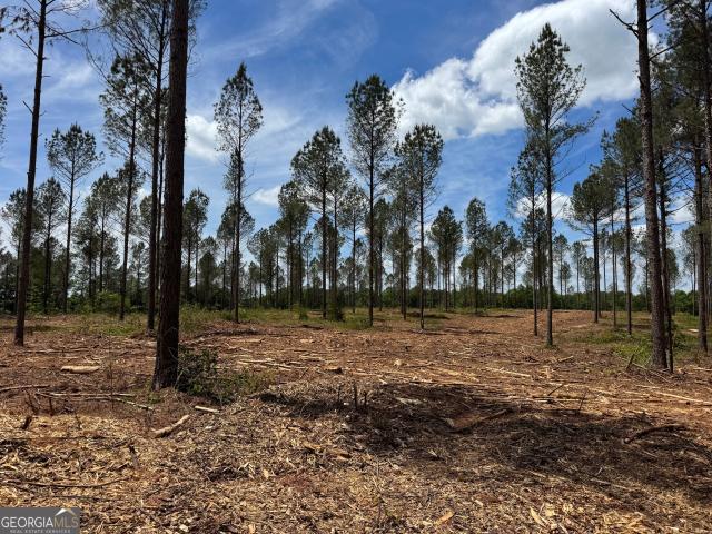 Land for sale in Elbert, Georgia