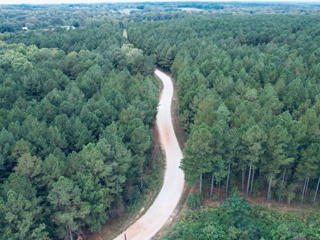 Land for sale in Elbert, Georgia