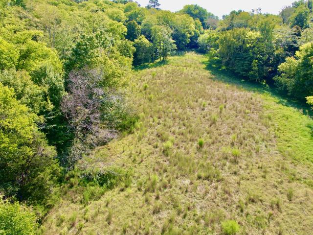 Land for sale in Tennessee