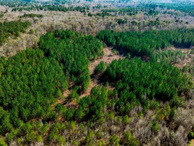 Land for sale in Millen, Georgia