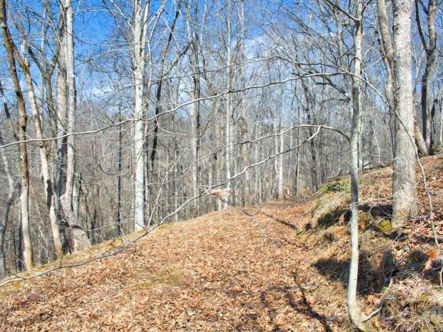 Land for sale in Rutherford, North Carolina