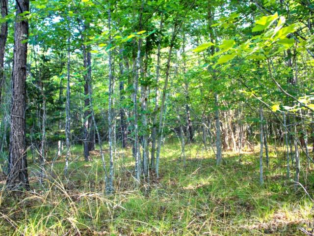 Land for sale in Rutherford, North Carolina