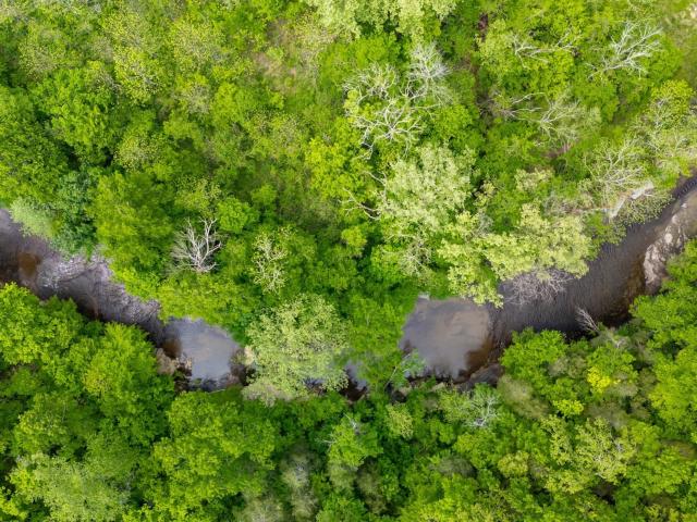 Land for sale in Tennessee