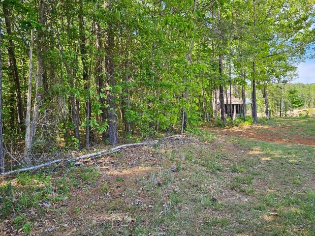 Land for sale in Castalia, North Carolina